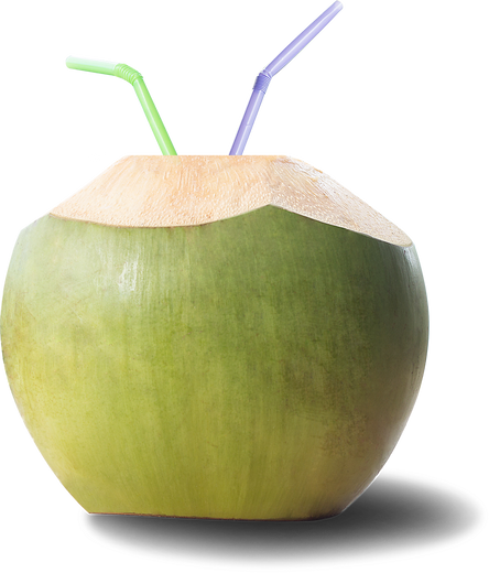 coconut PNG transparent