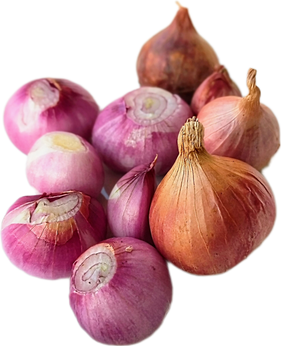 Pink shallots with transparent background