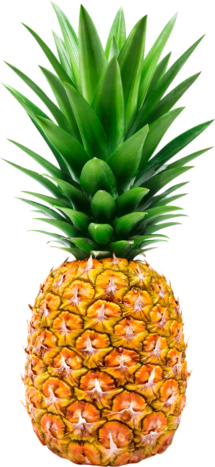 One Whole Pineapple